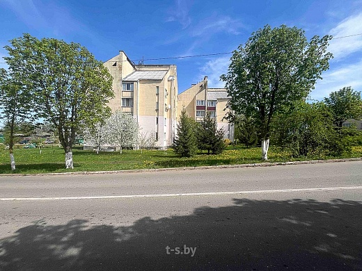 Продажа однокомнатной квартиры, Петковичи, Юбилейная ул., 22 - фото 7 