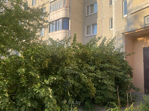 Продажа четырехкомнатной квартиры, Минск, Никифорова ул., 17 - фото 17 