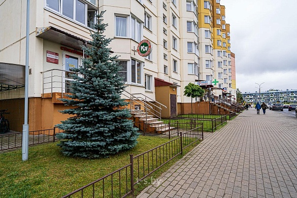 Продажа однокомнатной квартиры, Лесной, Александрова ул., 12 - фото 23 