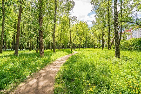 Продажа четырехкомнатной квартиры, Минск, Логойский тракт, 15, к. 2 - фото 36 