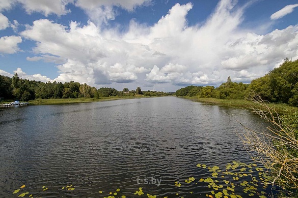 участок, Водолей-2010 - фото 23 